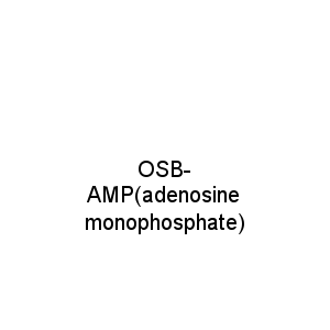 OSB-AMP(adenosine monophosphate)